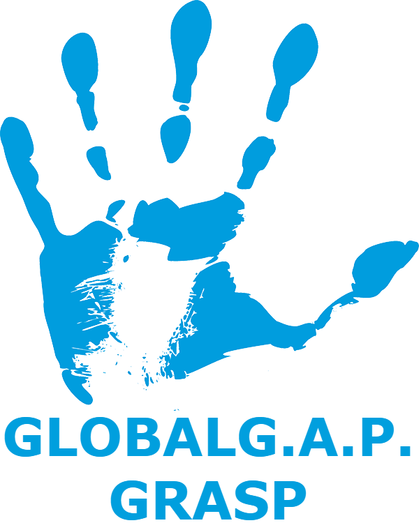 global gap grasp 1