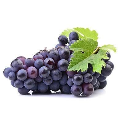 Black bunch of grapes with a sweet and juicy appearance